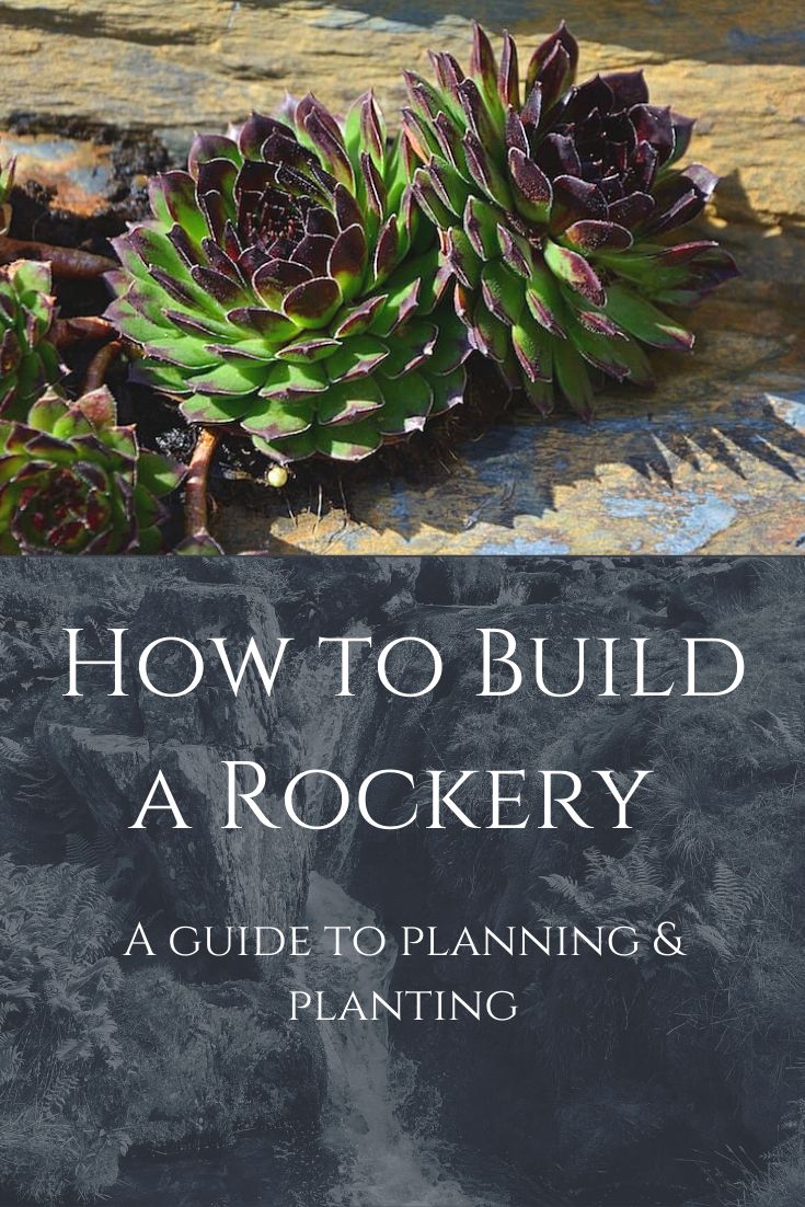 how to build a rockety a guide to planning and planting succulents