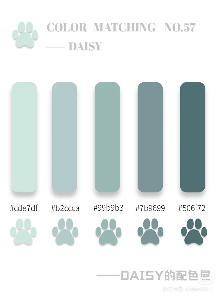 the color matching guide for dogs is shown in different sizes and colors, including blue, green