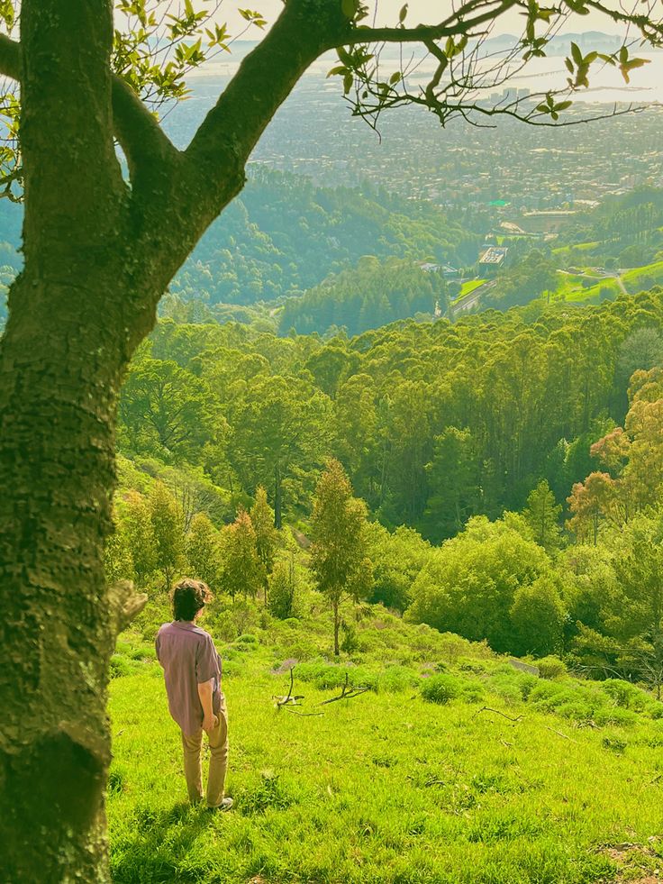 a person standing on top of a lush green hillside