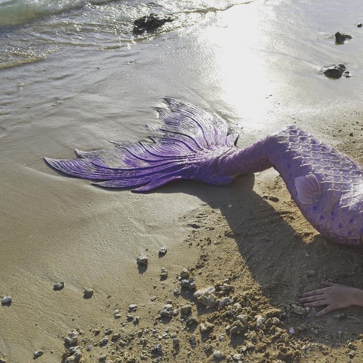 a purple mermaid tail laying on the beach