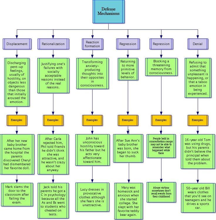 a flow diagram with different types of items in each section and the words below it