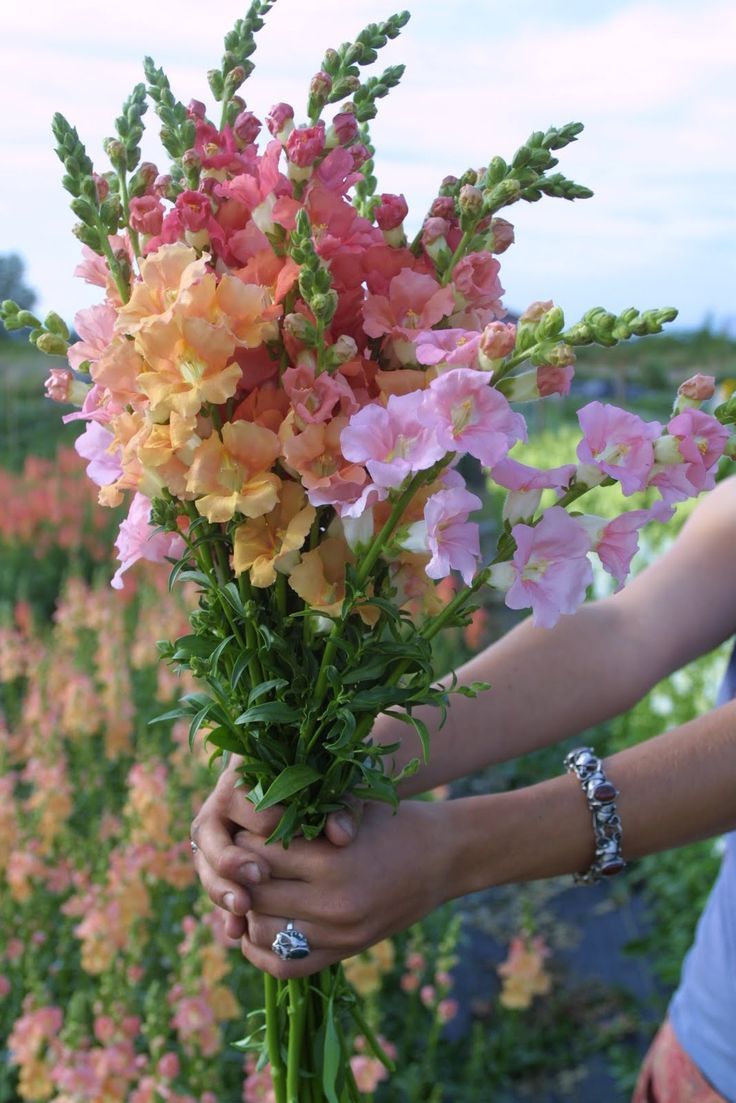 a woman holding a bouquet of flowers in her hands on the side of a field