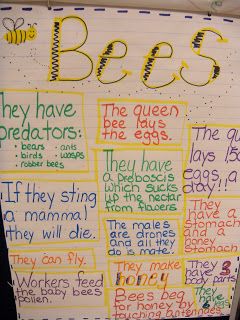 a bulletin board with bees written on it