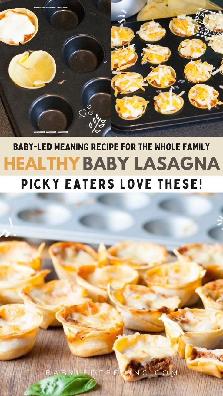 baby - led meal recipe for the whole family healthy baby lasagna picky eaters love these