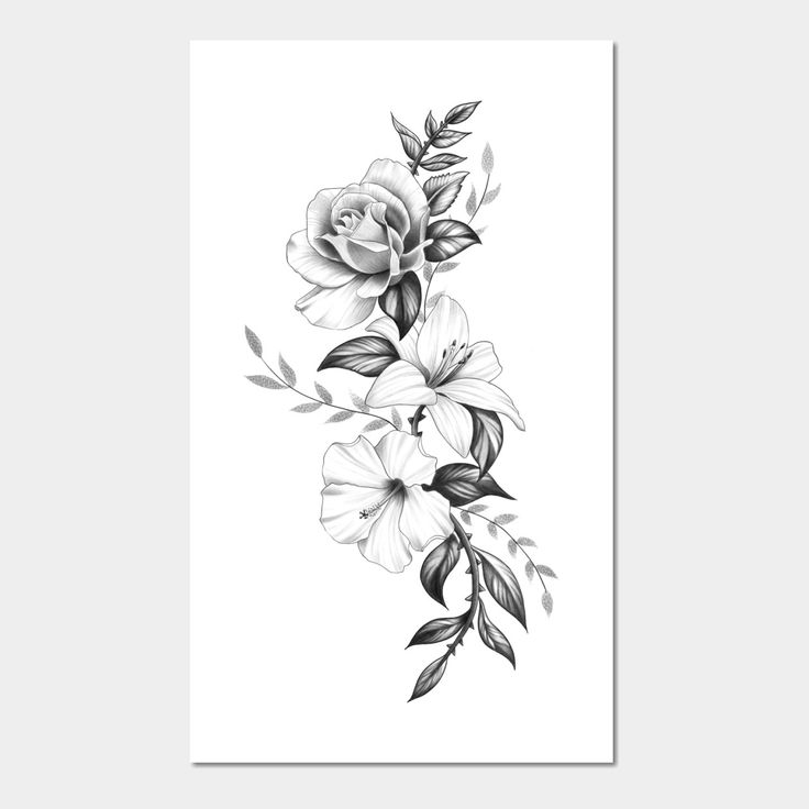 a black and white drawing of flowers with leaves on the bottom half of each flower