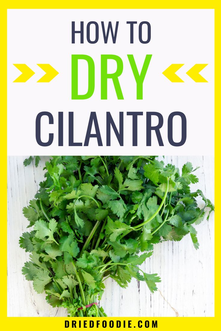 how to dry cilantro on a cutting board with text overlay reading how to dry cilantro