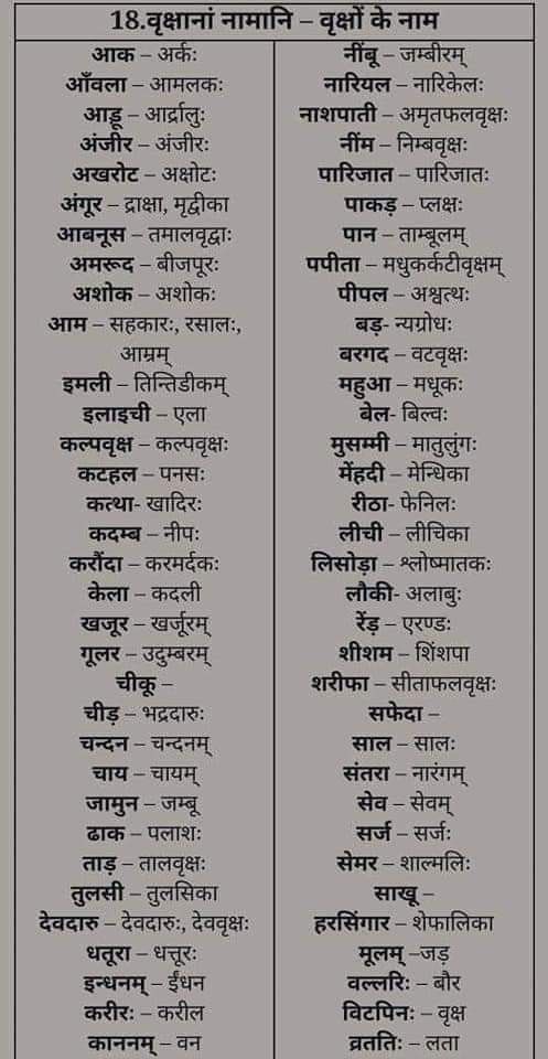 Sanskrit Language Learning, Anu God, Sanskrit Learning, Sanskrit Vocabulary, Sanskrit Grammar, Ancient Wisdom Quotes, Sanskrit Language, Hindi Language Learning, Mantra For Good Health