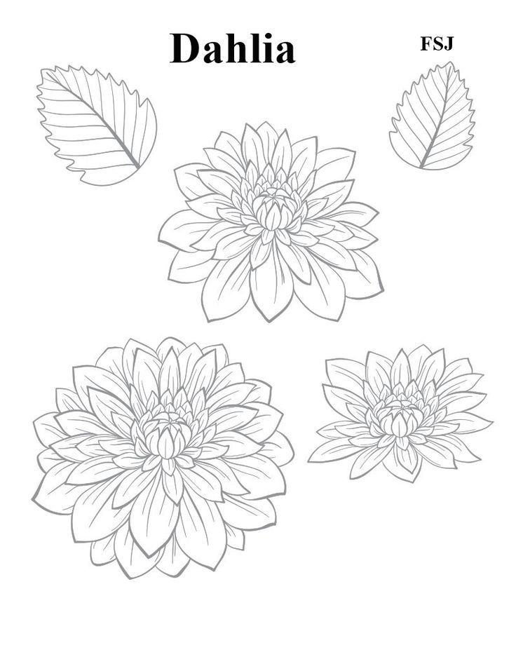 four flowers with leaves in the middle and one flower on the other side, drawn by hand