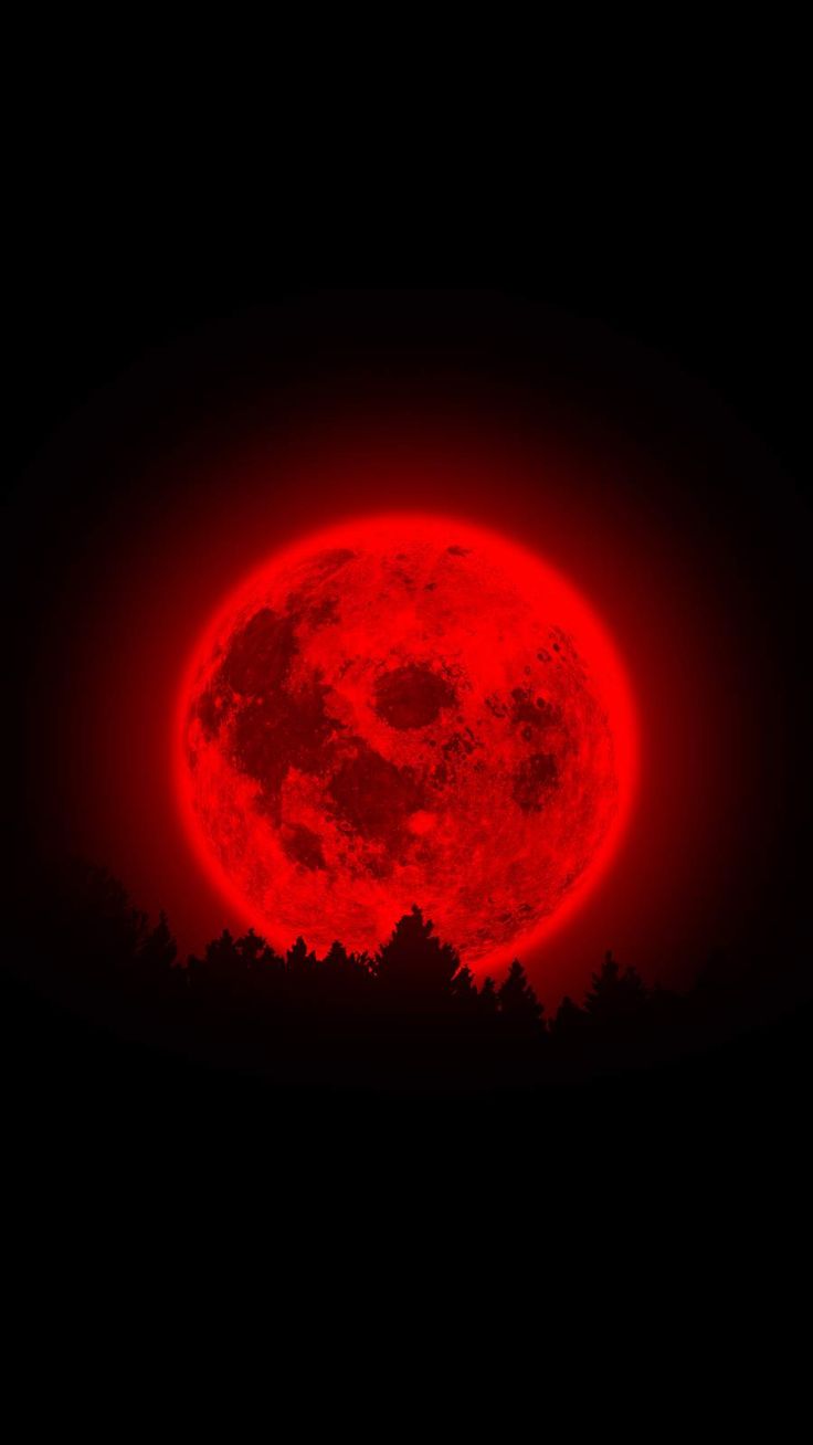 the full red moon is seen in the dark sky