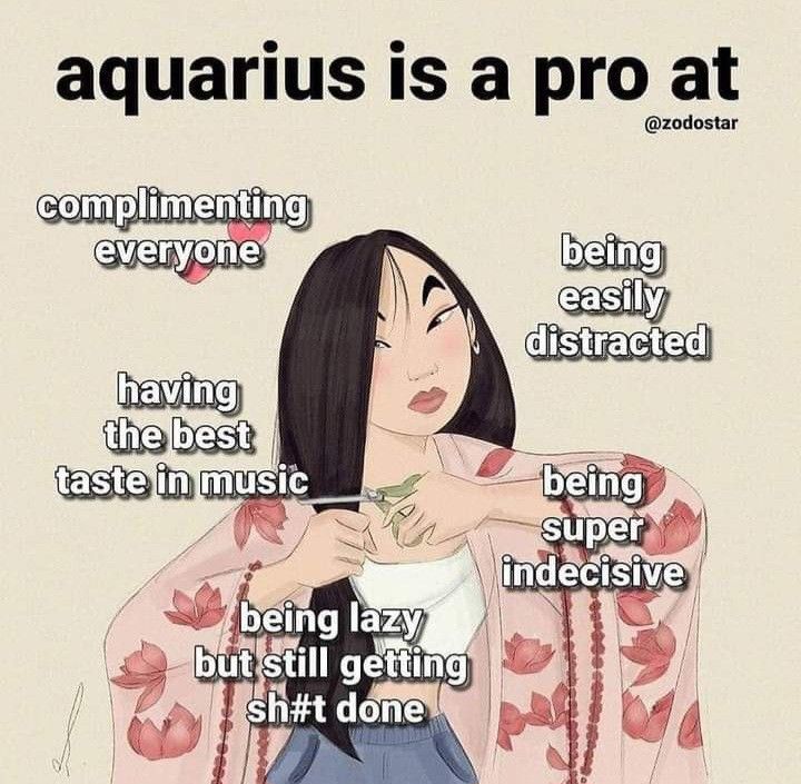 an aquarius is a pro at