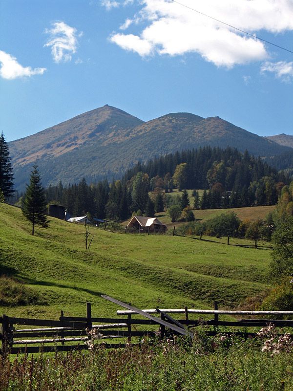 a lush green field with mountains in the background