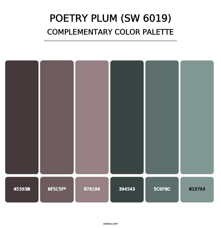 Poetry Plum (SW 6019) - Complementary Color Palette Grey Mauve Color Palette, Plum Complementary Color, Sw Poetry Plum, Colors That Go With Plum, Gray Purple Color Palette, Laundry Room Color Palette, Brown Purple Color Palette, Complementary Colors Interior, Entryway Color Ideas Paint