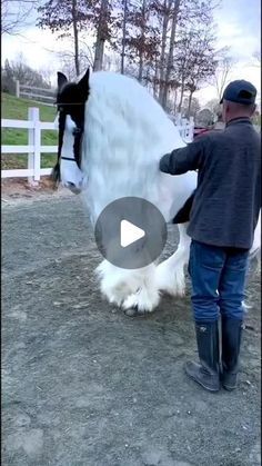 a man standing next to a white and black horse