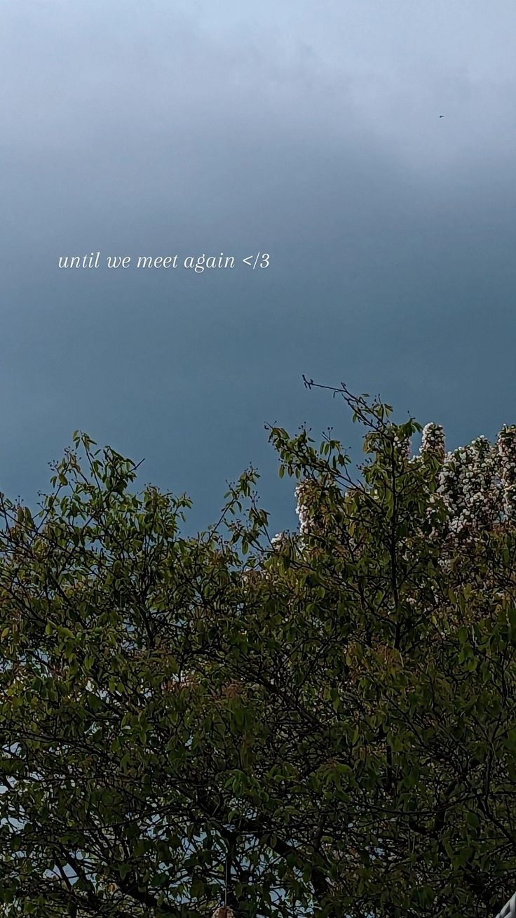 an airplane is flying high in the sky above some trees and bushes with a message written on it