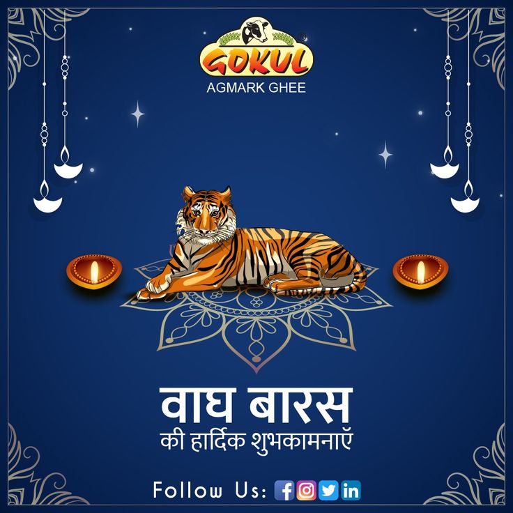 an image of a tiger laying on the ground with candles in front of it and text that reads goru asmark chee