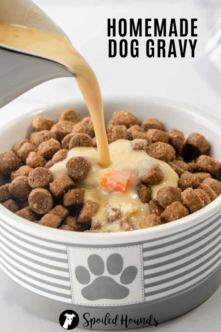 homemade dog gravy being poured into a bowl