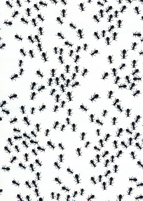 an image of many black ants in the air on a white background that looks like they are flying