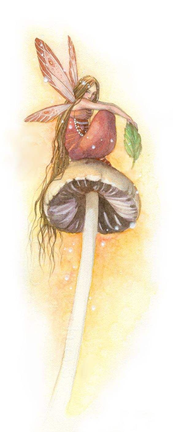 a drawing of a fairy sitting on top of a mushroom