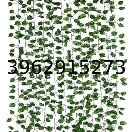 green leaves are growing on the side of a white wall with numbers in front of it