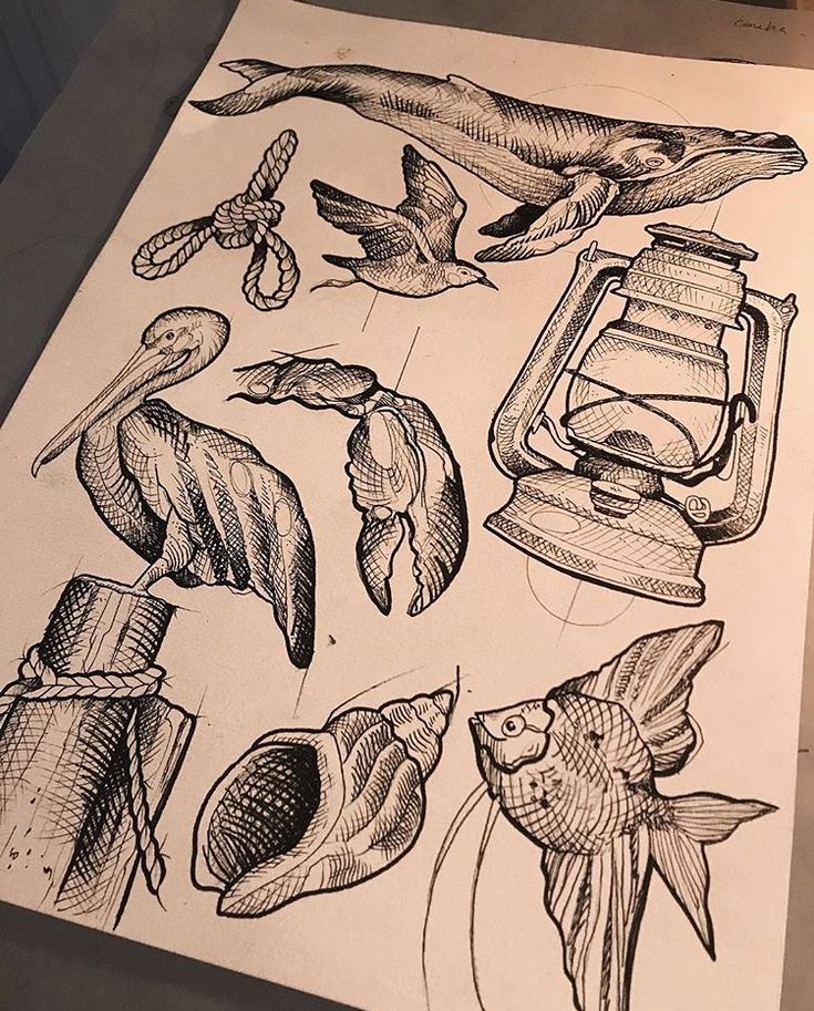 a drawing of different types of fish and objects that are drawn in pencil on paper