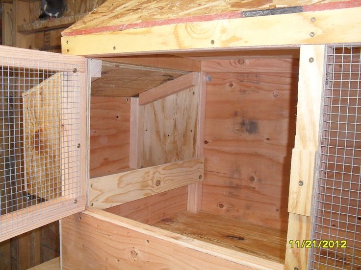 the inside of a chicken coop with wooden walls and metal mesh fencing on the sides