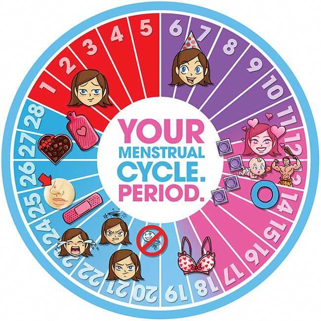 Menstrual Cycle Chart, Cycle Period, Menstrual Cramp Relief, Period Hacks, Menstrual Health, Roller Coaster Ride, Menstrual Cramps, Hormonal Changes, Birth Control