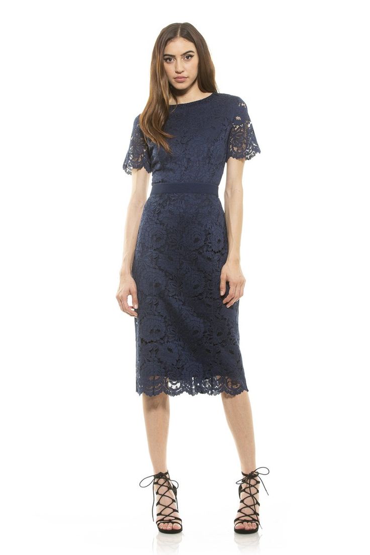 Delora Lace Sheath – ALEXIA ADMOR Midi Dress Short Sleeve, Alexia Admor, Midi Dress For Women, Navy Lace Dress, Midi Sheath Dress, Navy Lace, Dress Short Sleeve, Lace Sheath Dress, Midi Short Sleeve Dress