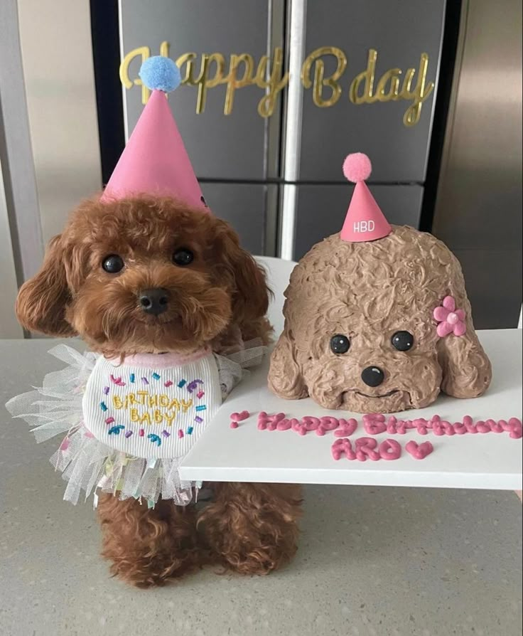 a brown dog wearing a birthday hat and sitting next to a cake that says happy birthday