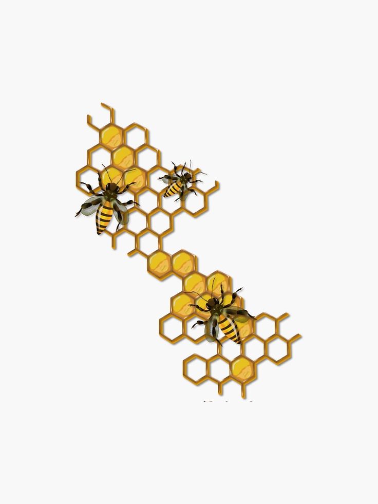 three bees on honeycombs in the shape of hexagons