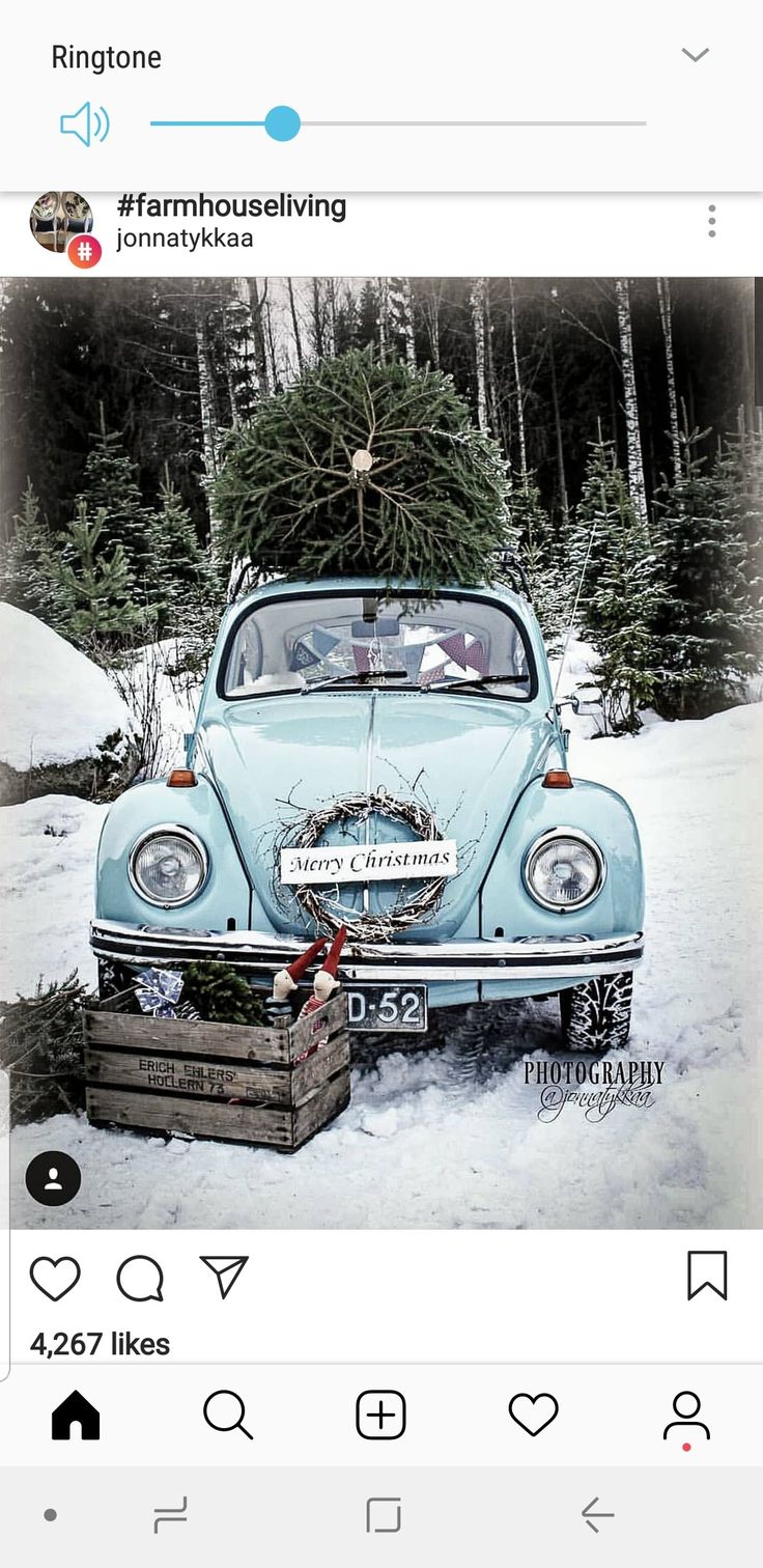 an old blue car with a christmas tree on the hood is parked in front of some pine trees