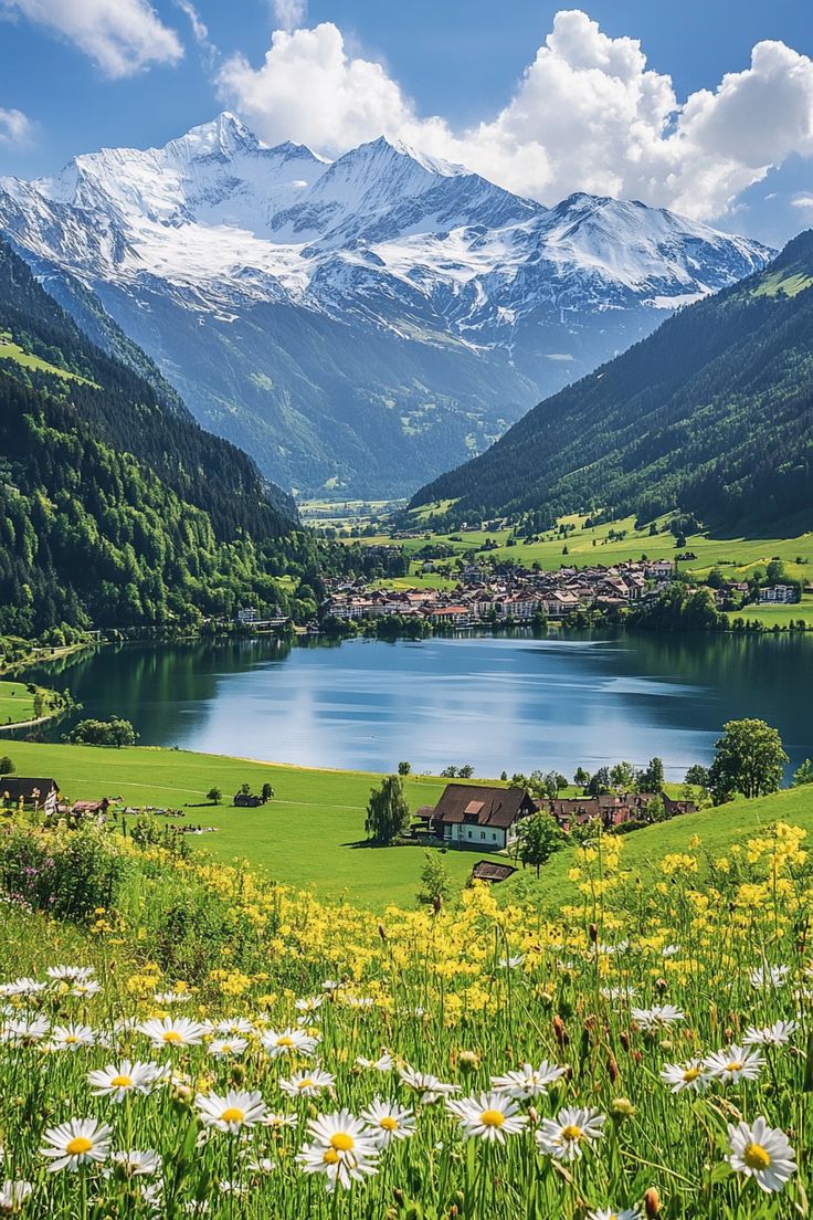 a lake surrounded by mountains and grass with flowers in the foreground on a sunny day