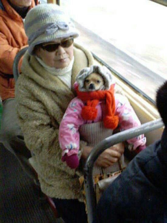 a woman holding a small child in her arms on a bus with the caption perkszefekty 4800 +