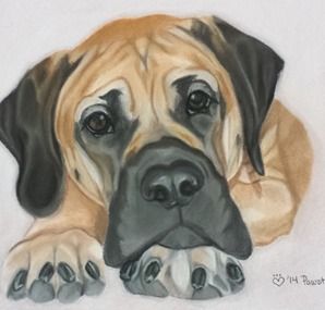 a drawing of a dog's face with his paws on the ground, looking at the camera