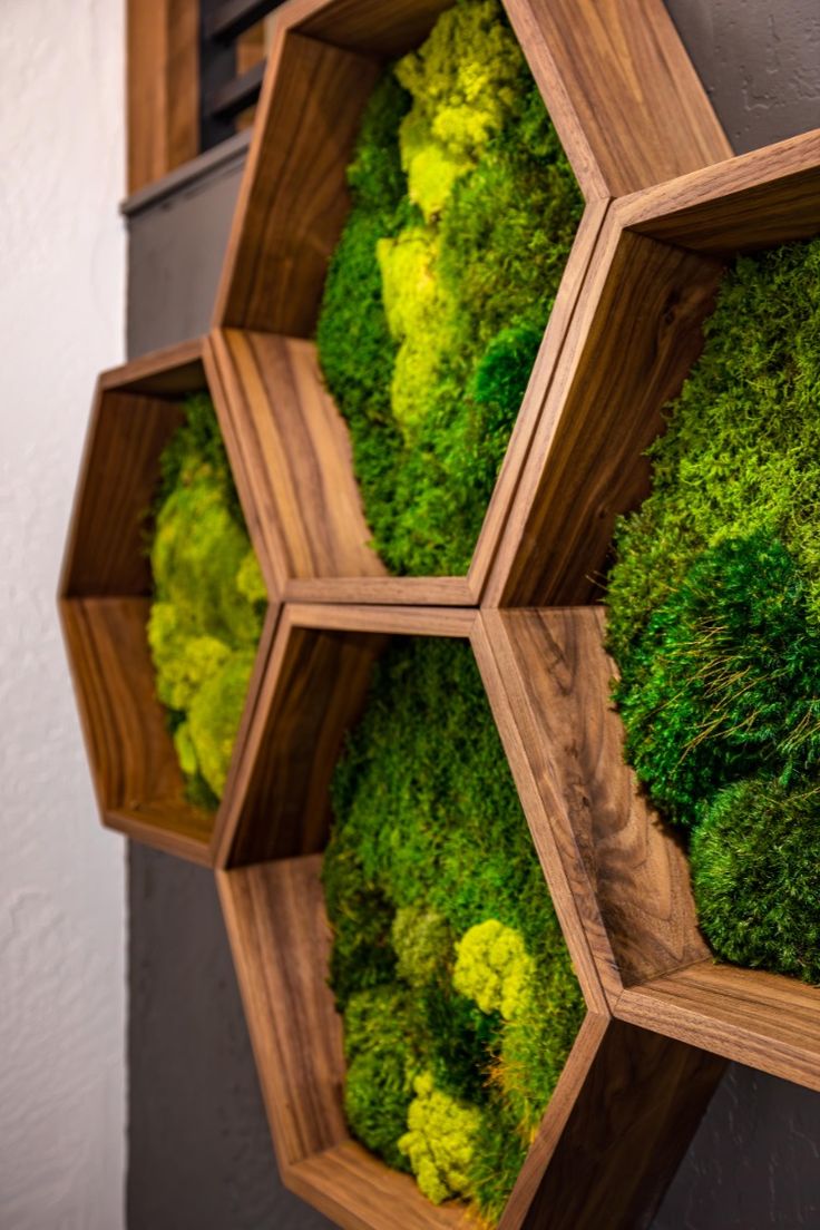 the wooden shelves are filled with green moss