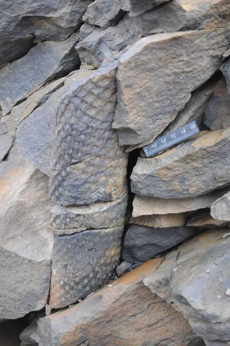 a pile of rocks that have some type of rock on it's side with a sign in the middle