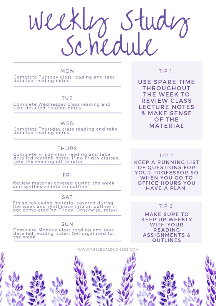 the weekly study schedule with lavender flowers