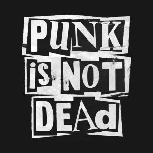 Punk Is Not Dead, I Hope, T Shirts, Blue