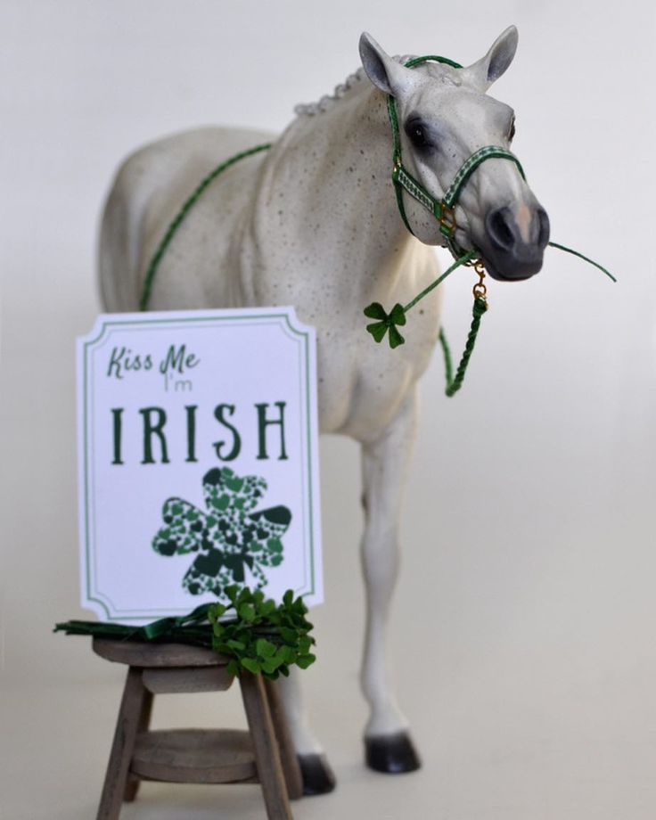 a white horse is standing next to a sign that says kiss me i'm irish