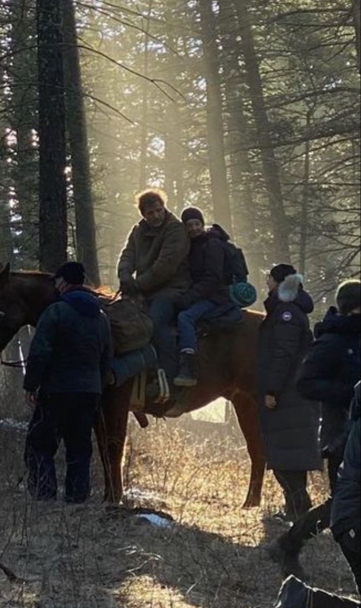 a group of people riding on the backs of horses through a forest filled with trees