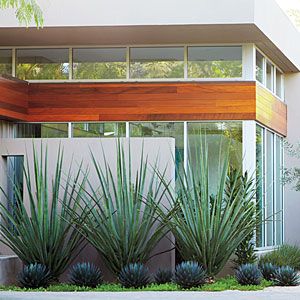 an exterior view of a modern home with plants and trees