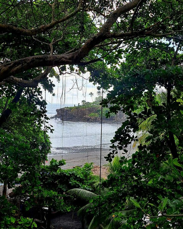 an open area with some trees and water in the background, while one person is swinging on a rope