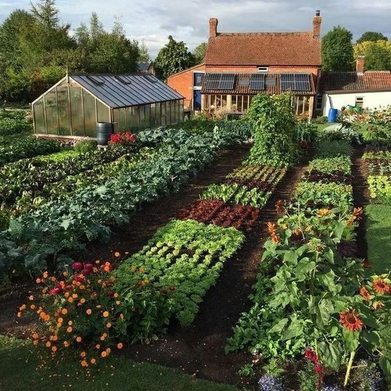 a garden with many different types of plants and flowers in the ground near a house