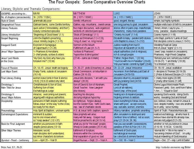 the four components of computer hardware overview chart with text and pictures on each side, including two