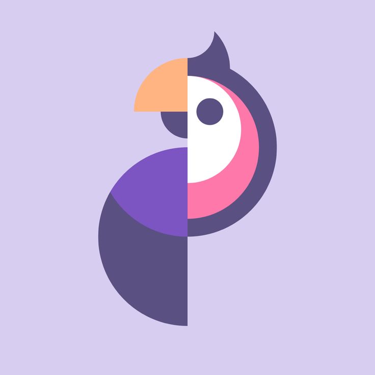 a colorful bird on a purple background