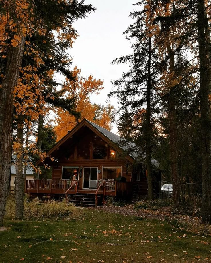 a cabin in the woods surrounded by trees with fall leaves on the ground and grass