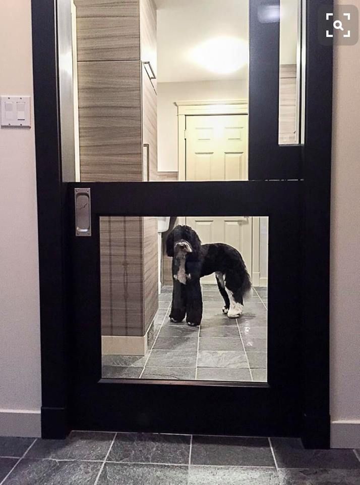 two dogs standing in front of a mirror on the door way to a hallway with tile flooring