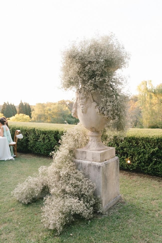 a vase with flowers growing out of it sitting in the middle of a lawn area