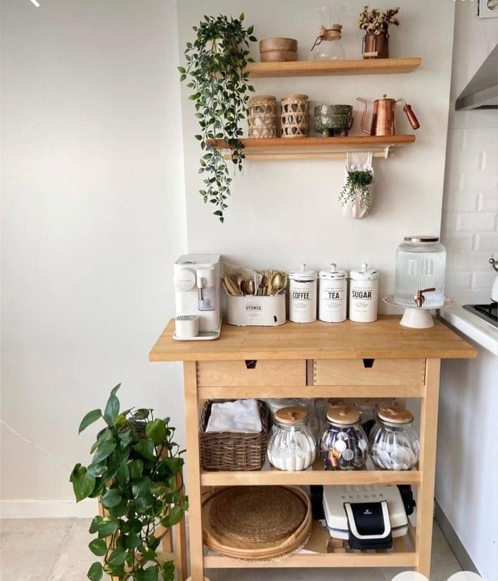 a kitchen with shelves filled with pots and pans next to a potted plant