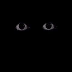 the eyes are glowing in the dark with only one eye visible on the left side