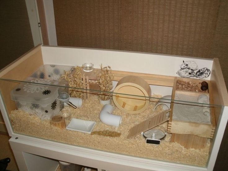 a glass display case filled with lots of items